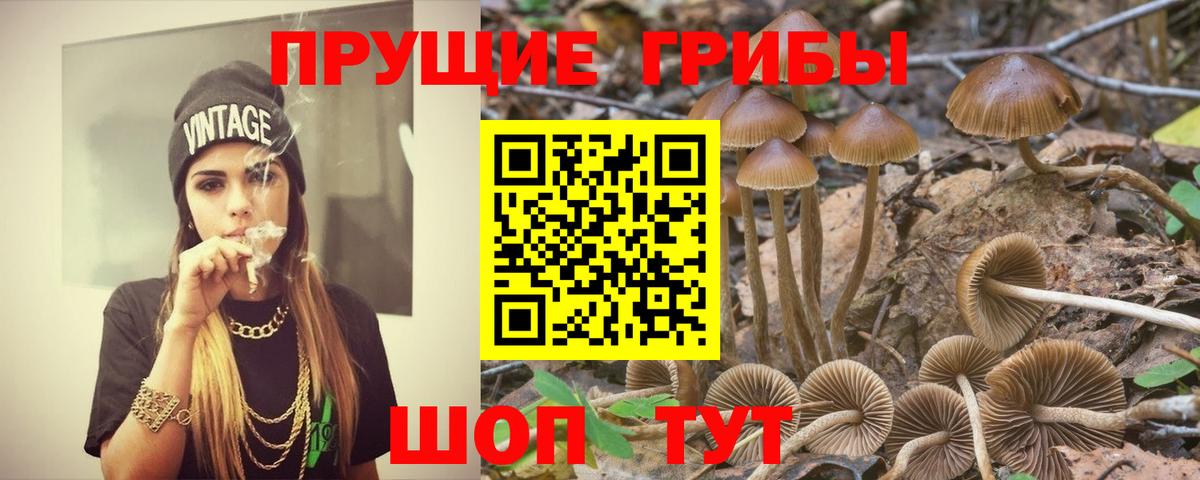 Галлюциногенные грибы мицелий Миллерово